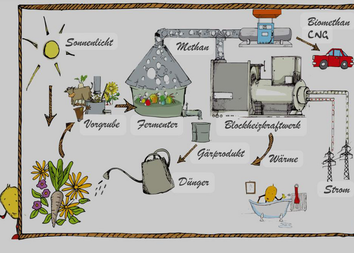 Schaubild Biogasanlage