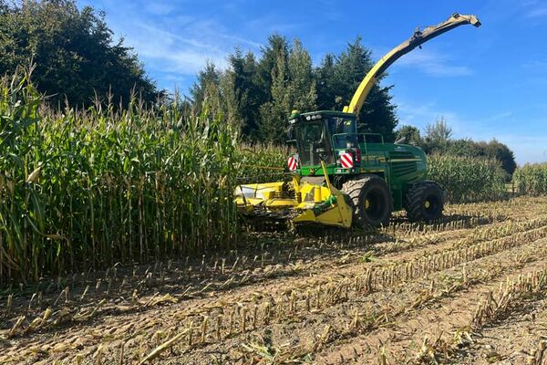 Maisernte mit John-Deere-Häcksler