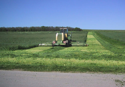 Landwirtschaft Hafner GbR